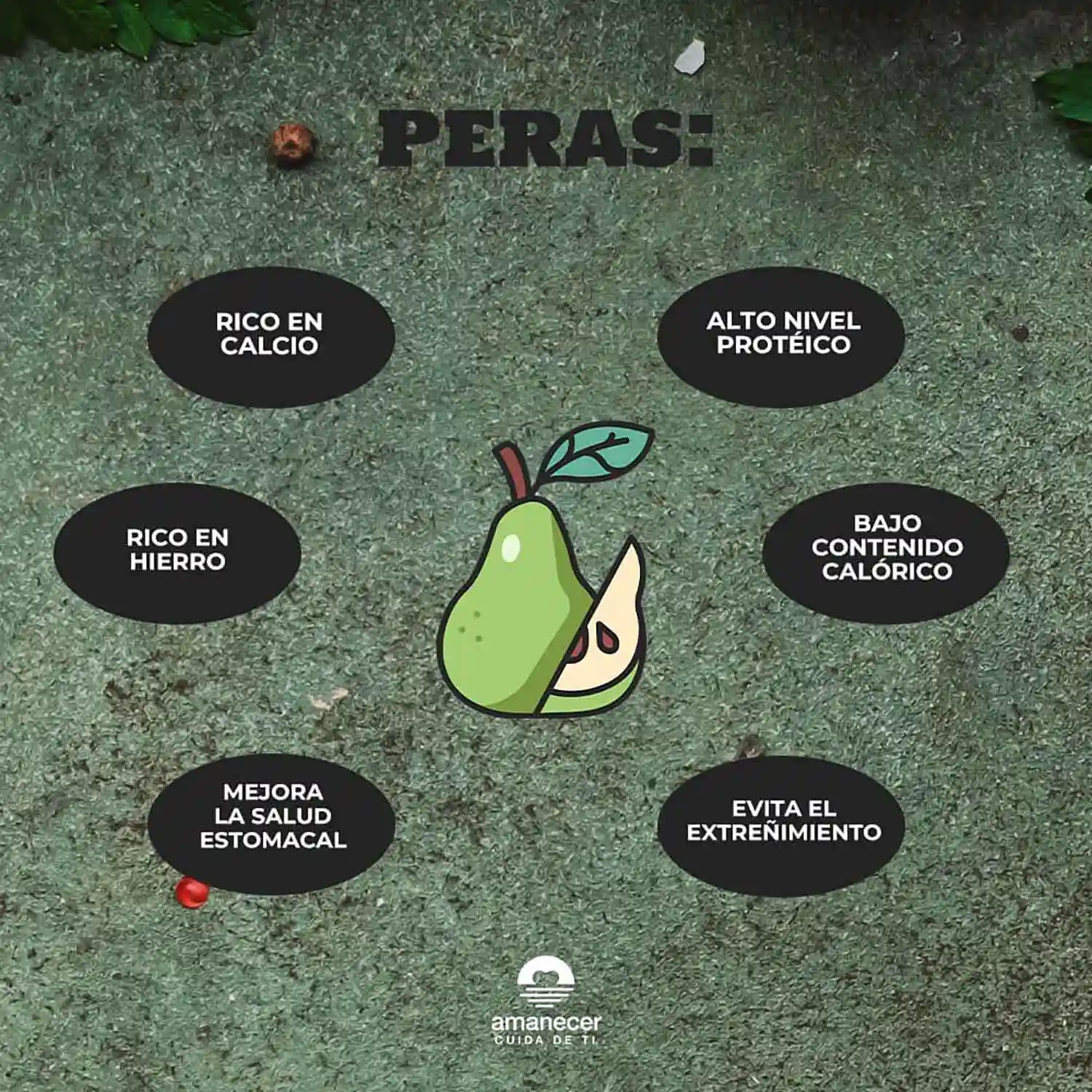 Nutrición Otoñal
