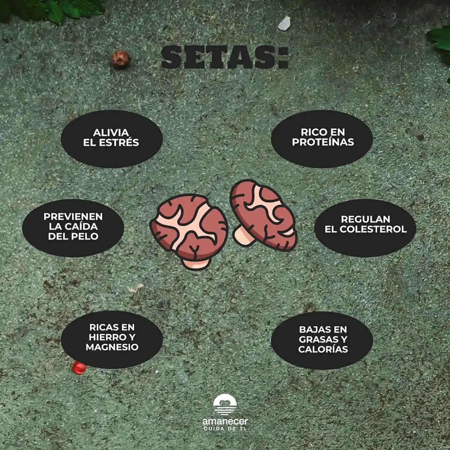 Nutrición Otoñal