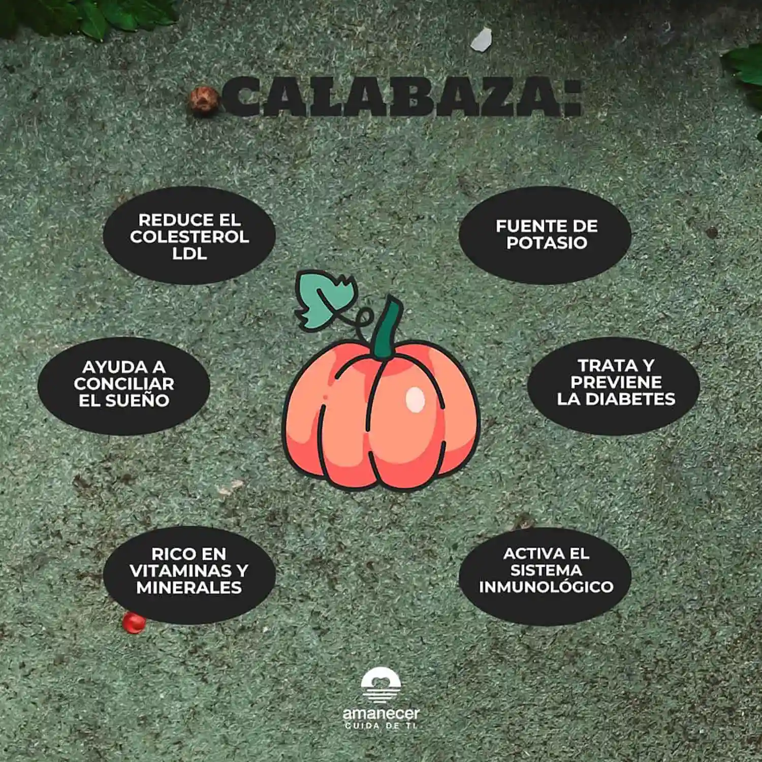 Nutrición Otoñal