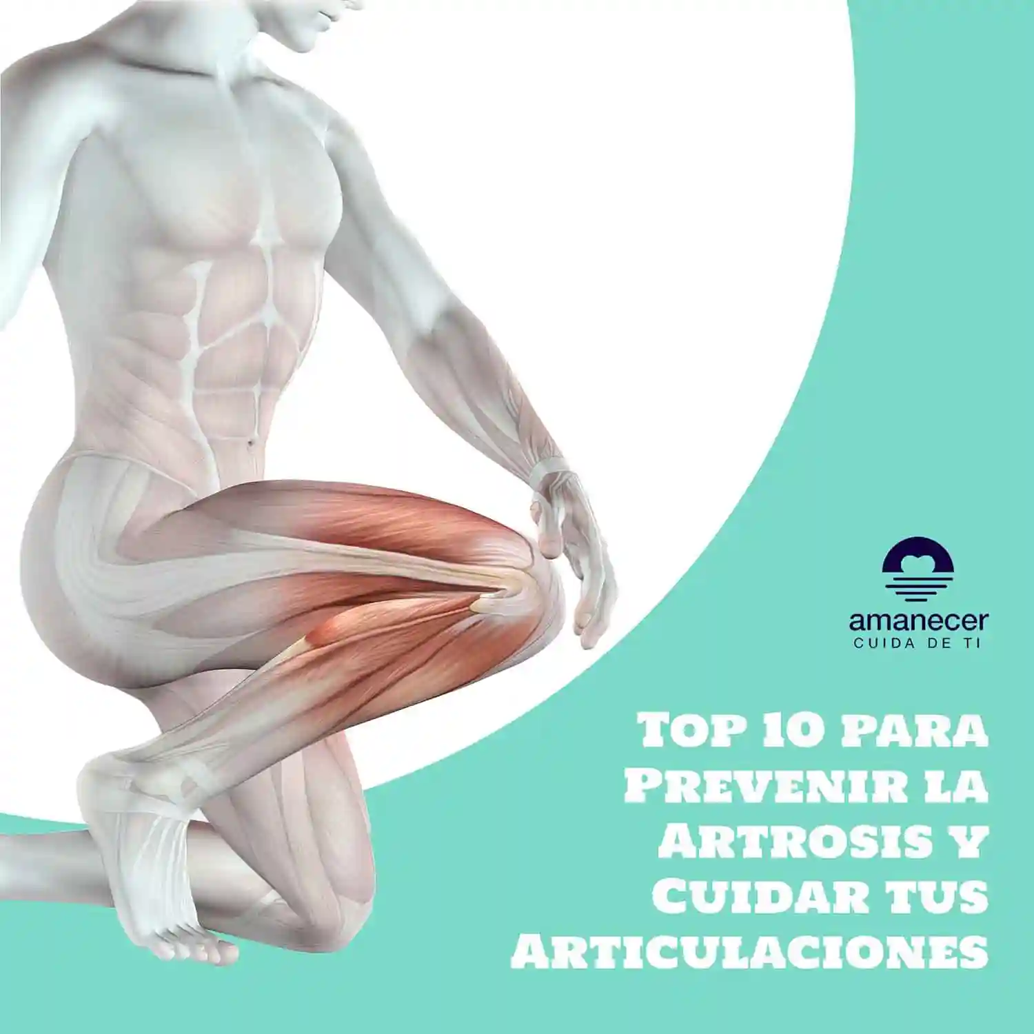 Prevenir la Artrosis
