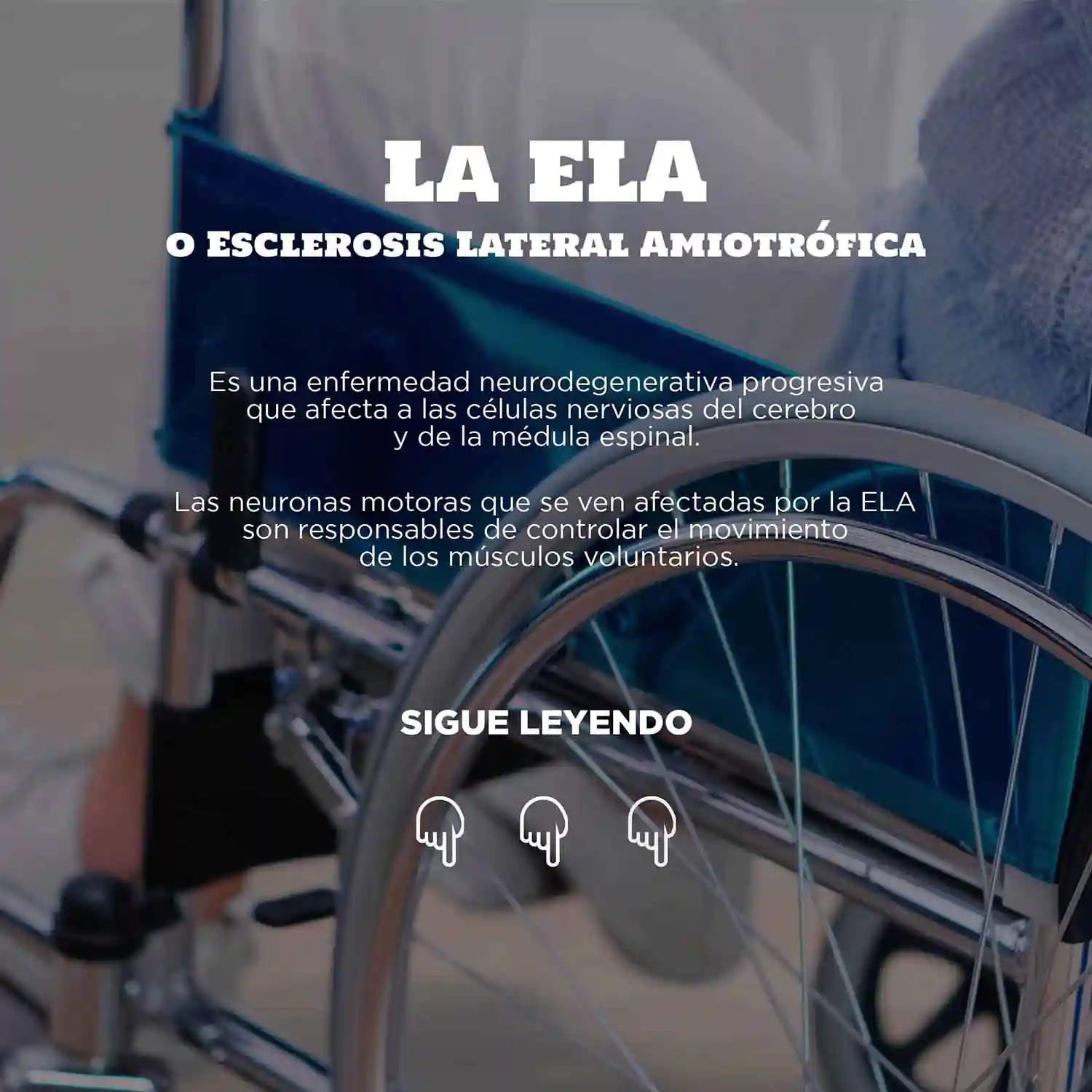 Conoce la ELA