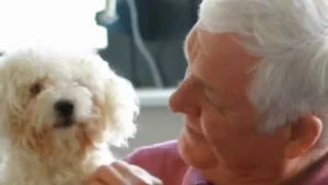 Las mascotas son mucho más que compañía