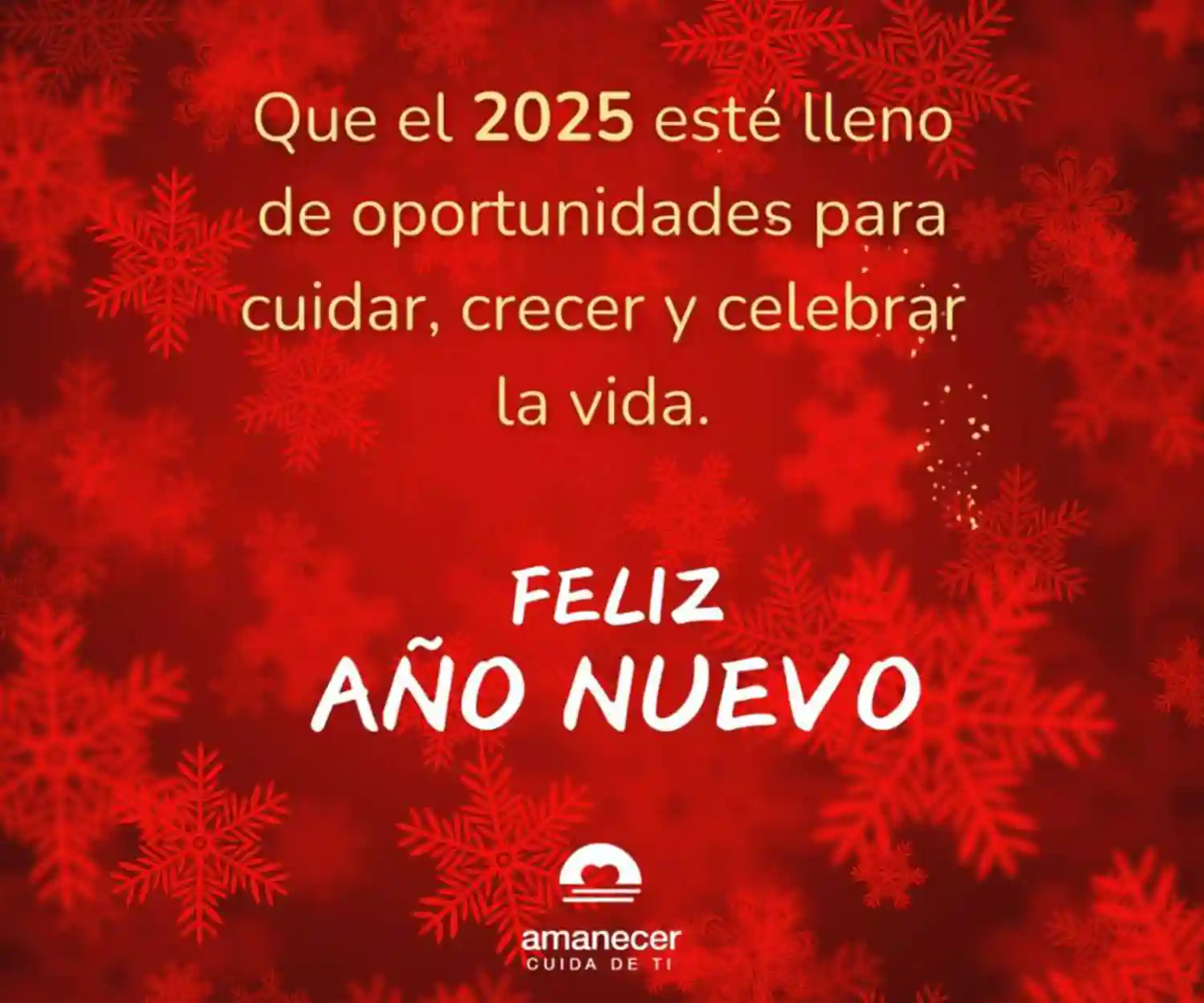 Feliz Año 2025