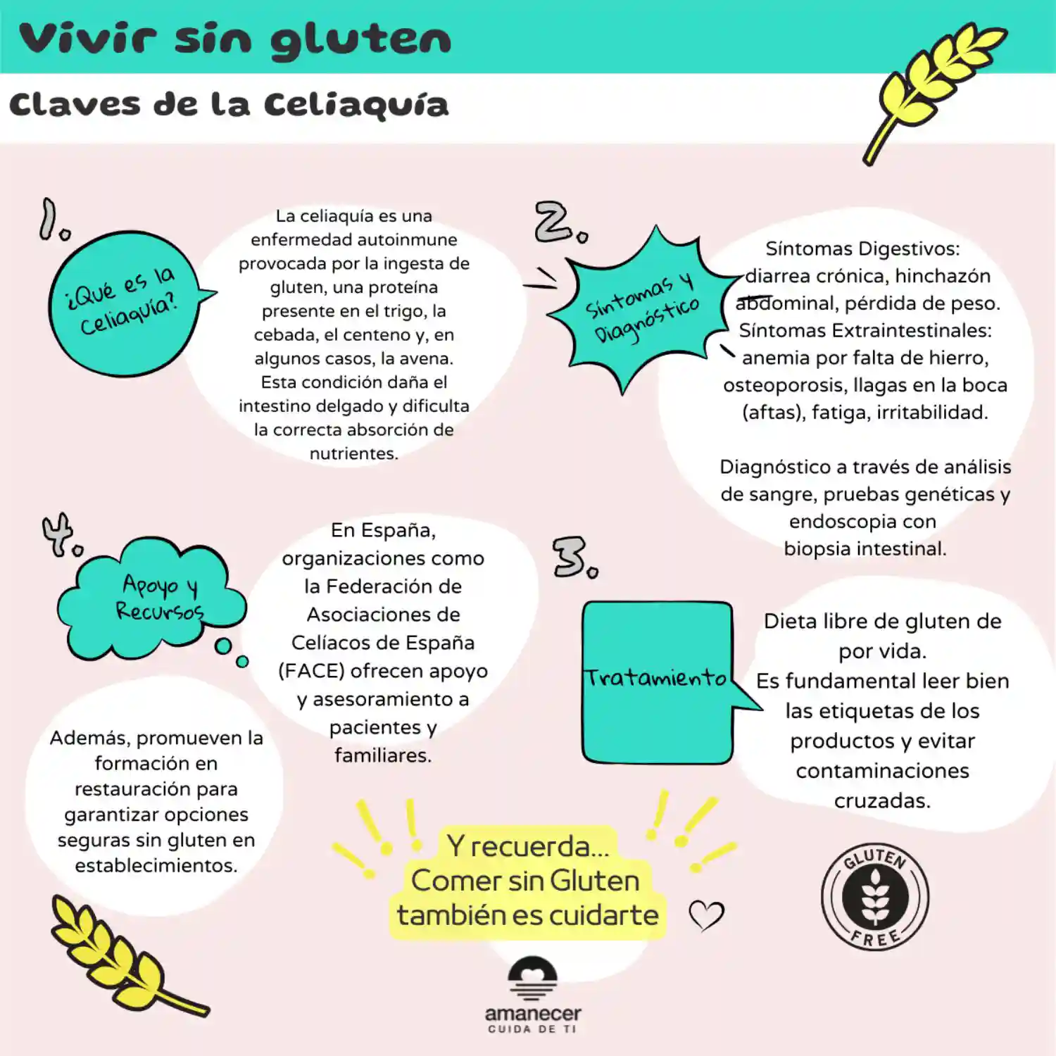 Celiaquía