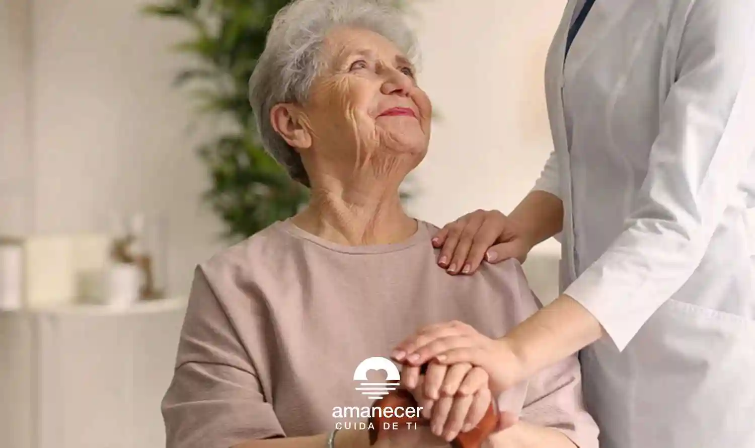 Servicios puntuales o permanentes