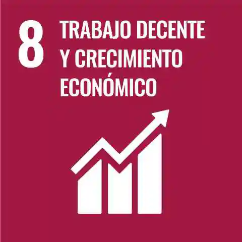 Objetivo 8 Amanecer Cuida de Ti