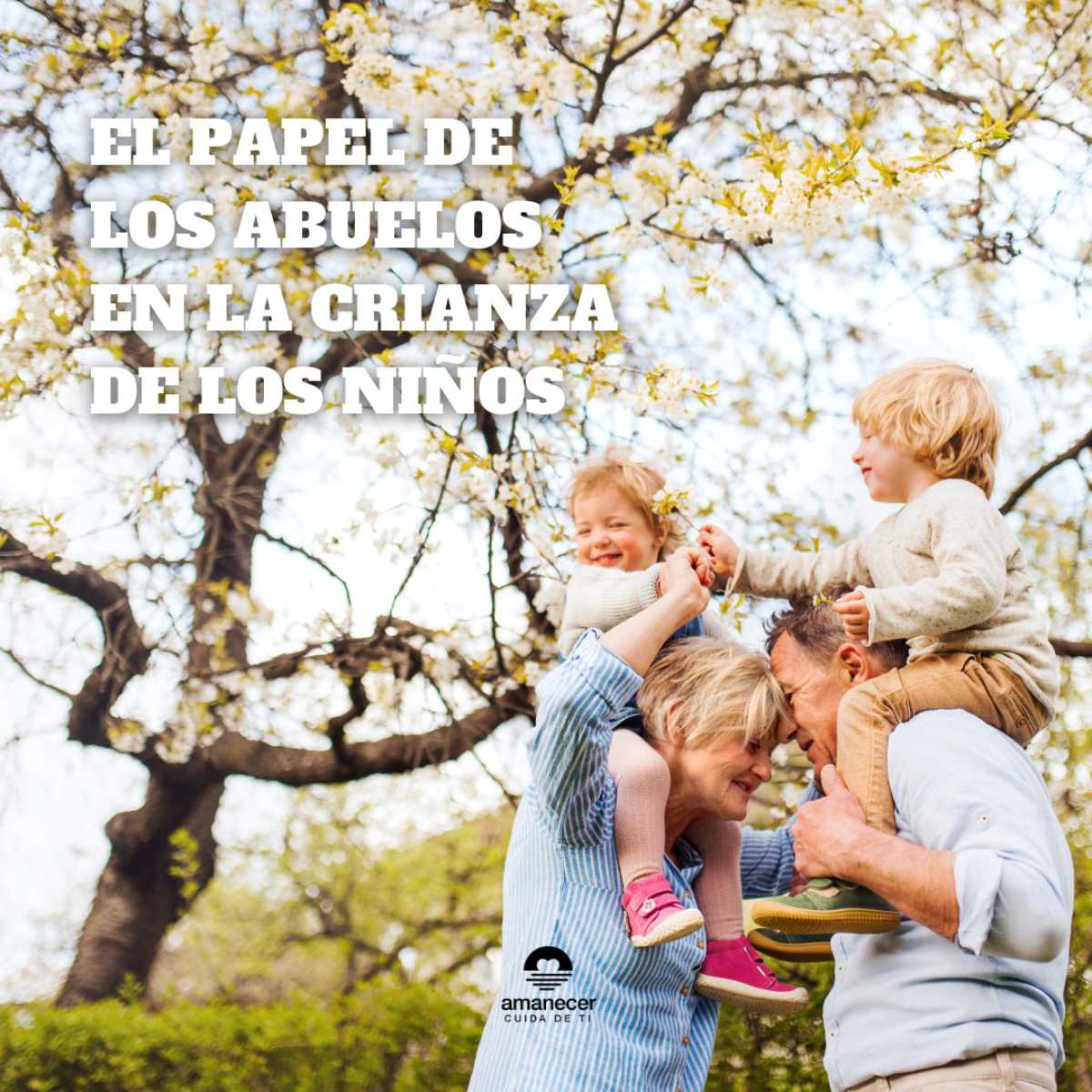 El papel de los abuelos en la crianza de los niños